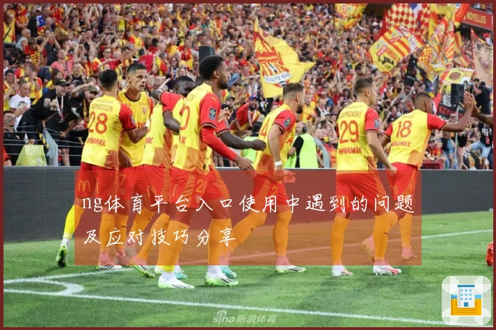ng体育平台入口使用中遇到的问题及应对技巧分享